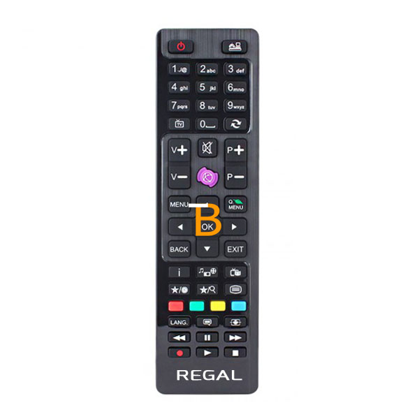 Regal Smart Televizor Üçün Pult